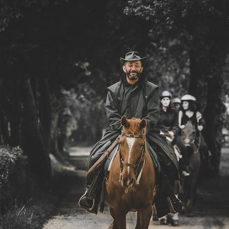 Glamping In Toscana, Luxury Tents In Agriturismo Biologico Sorano  Exterior foto