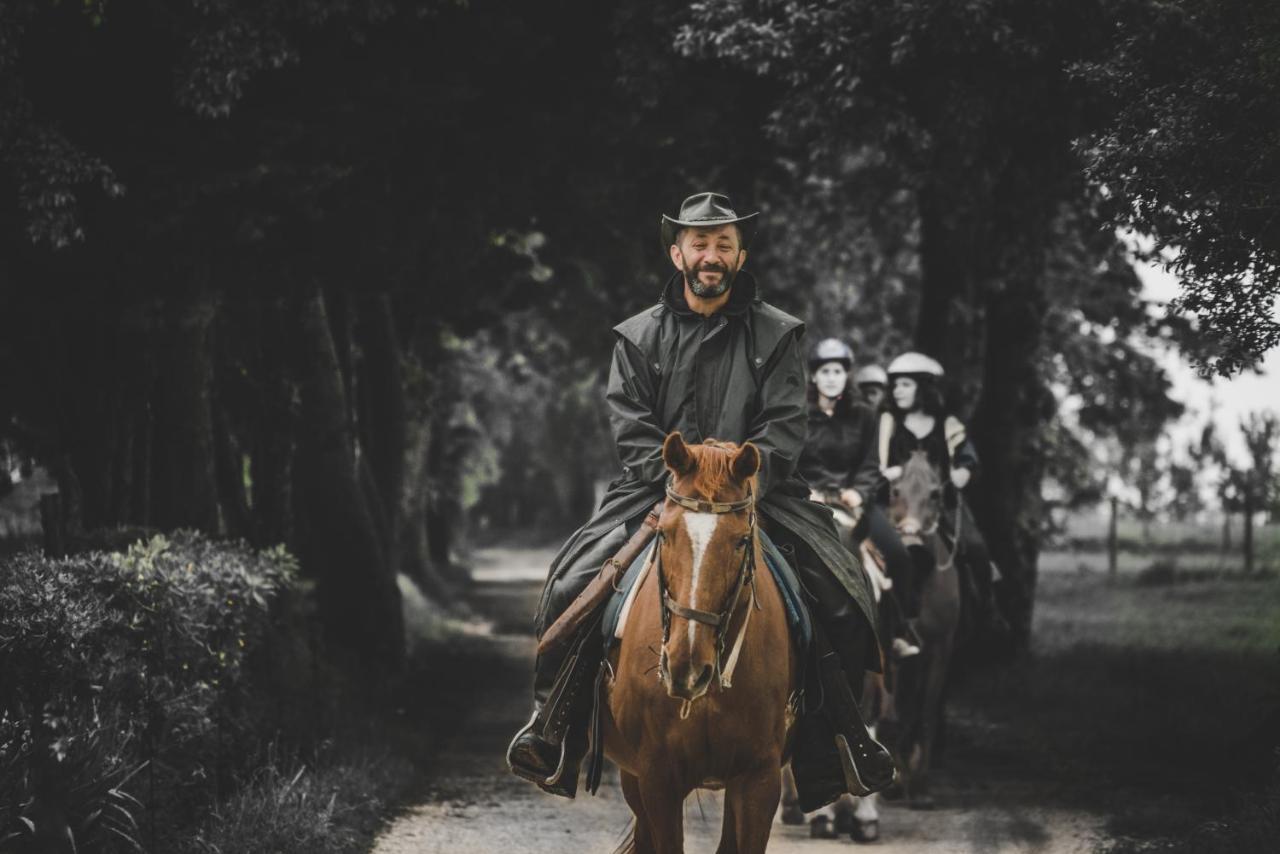 Glamping In Toscana, Luxury Tents In Agriturismo Biologico Sorano  Exterior foto